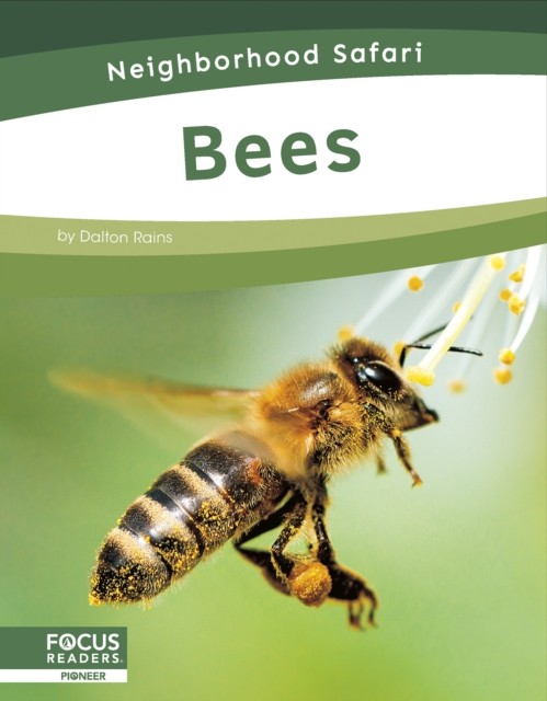 Bees by Dalton Rains PAPERBACK 9798889982289