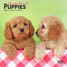 BrownTrout,  Puppies For the Love Special Value 2026 Mini Wall Calendar, 7'' X 7