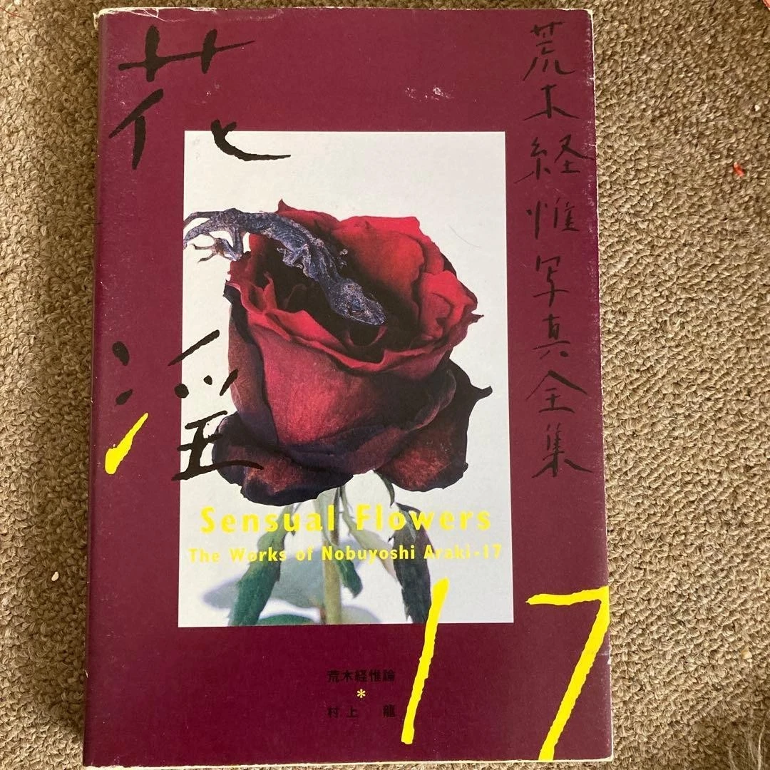 平装、裹亚洲摄影： 作品集古董及收藏书籍| eBay