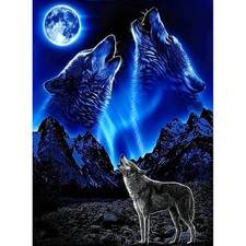 Diamond Art Kits for Adults, 5D Diamond Painting Kits for Adults, DIY