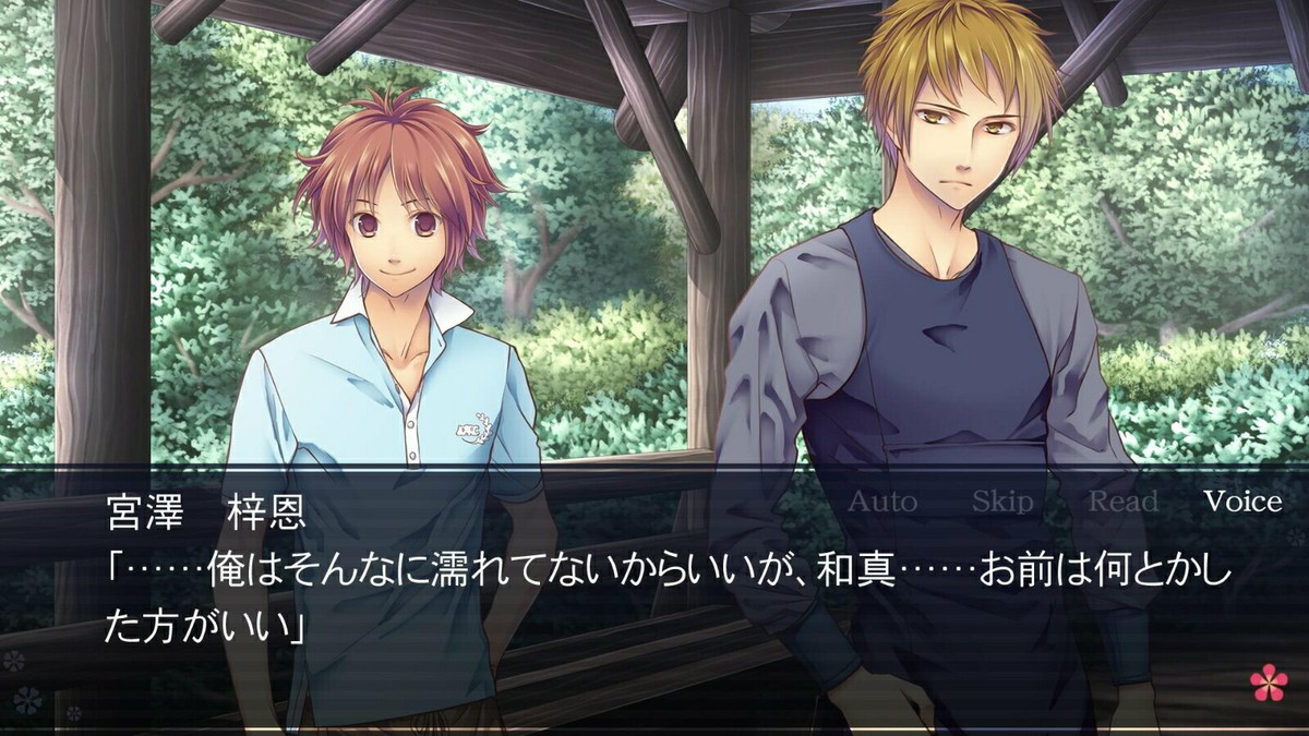 Flower garden where blooming flowers in love Switch Japanese