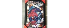 Spider-Man Gallery 3-D Lenticular Framed Wall Art!
