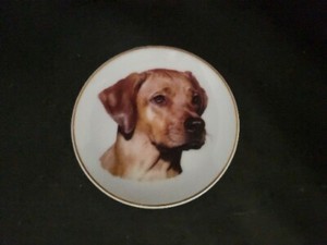 Vintage Norfolk China Rhodesian Ridgeback 4" Plate