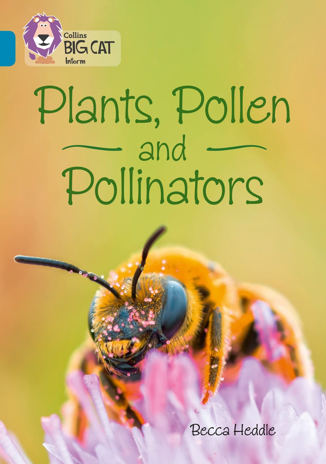Plants, Pollen and Pollinators: Band 13/Topaz (Collins Big Cat) by Becca Heddle - Image 6