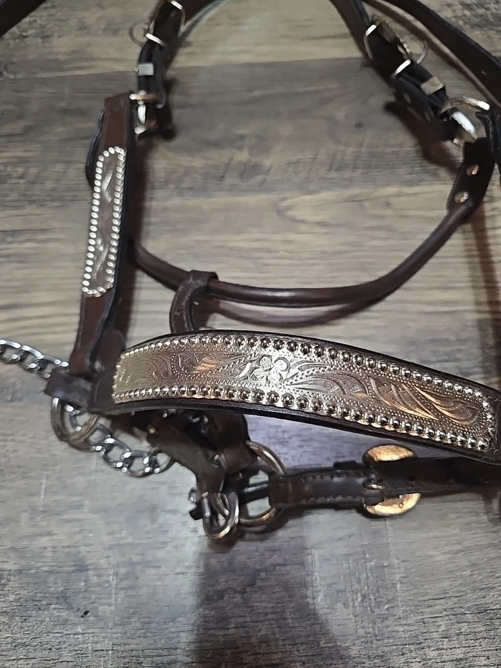 western show halter horse - Image 3 of 4