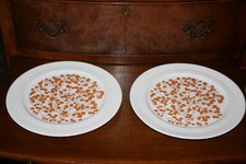 Original Melitta  Jeverland Wiesmoor 2 x Speiseteller / flache Teller TOPZUSTAND