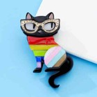 Acrylic Cat in Colourful Dress Brooch Fashion Women's Clothing Accessories