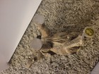 Picture 20 of 24