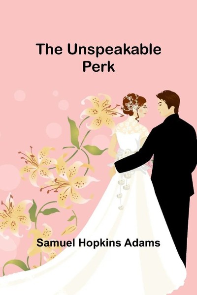 The Unspeakable Perk Samuel Hopkins Adams Taschenbuch Englisch 2024-image
