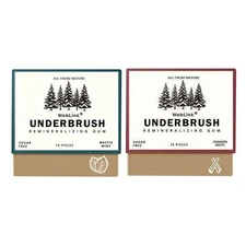 Underbrush Remineralizing Gum Sugar Free 18 Pieces Cinnamon Mastic NEW