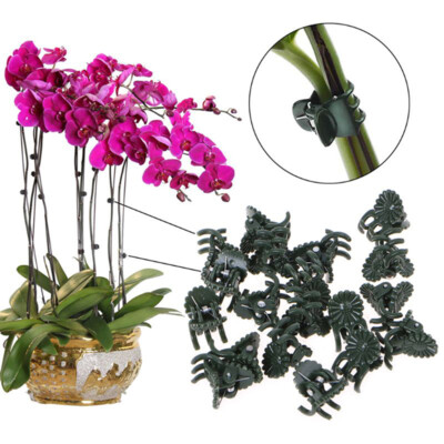 20Pcs Plant Fix Clips Orchid Stem Vine Support Flowers Tied Branch Clampi-lk