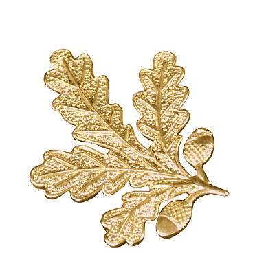 Eichenlaub als Anstecker - paarweise Hubertus Schützen gold oder silber 30x35mm