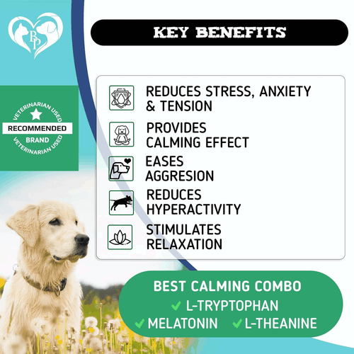 Hemp Calming Chews for Dogs Puppy Pet Separation Anxiety Relief Treats for Dog - Picture 2 of 6