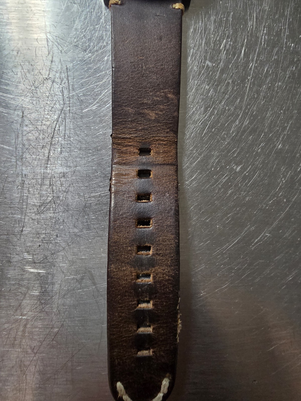 Spinnaker Spence Automatic Diver Watch – Black Di… - image 6