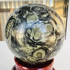 Sfera di cristallo di diaspro Kabamba naturale Kambaba Rock Agata Minerale Reiki 1,2 libbre