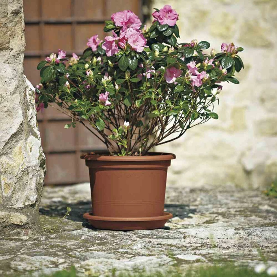 Kübel GEO Ø45cm terracotta Blumenkübel Blumentöpfe Terrasse Blumen Garten Balkon - Bild 3 von 3