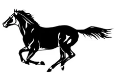 Horse Stallion Galloping #3, 4-21" Outdoor Die Cut Vinyl Decal Sticker