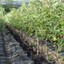 Bild 6 von 11