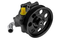 NTY Servopumpe Hydraulikpumpe FÜR Lenku FÜR Ford Focus 1.4I 1.6I 98-07