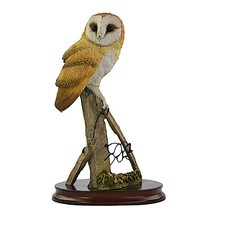 Caithness Natural World, Owl On Post