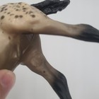 Breyer Horse Appaloosa Action Stock Horse Foal — photo 4