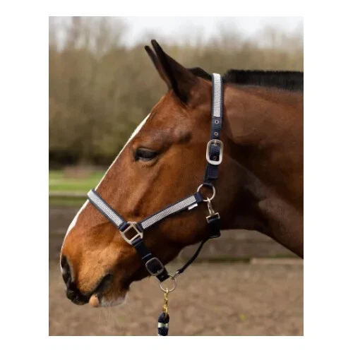 GALLOP EQUESTRIAN Galopp Nylon Diamonte Headcollar Navy