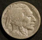 1919 D Buffalo Nickel Semi-Key Date Horn Details Holo-Restored Five 5c Coin D121