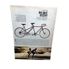 eBay Auction Picture