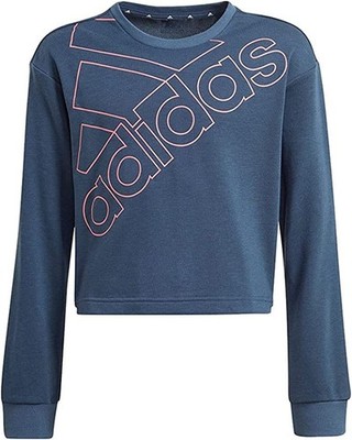Adidas Jumper Logo Swt Damen Blau Gr. 110 EU