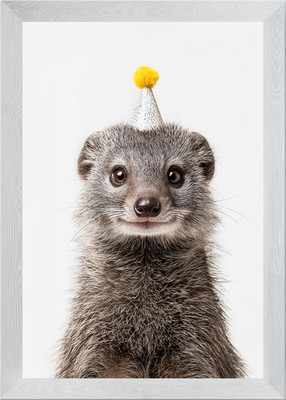 Mungo mit Partyhut Portrait gerahmtes Wandbild Poster Leinwanddruck Bild
