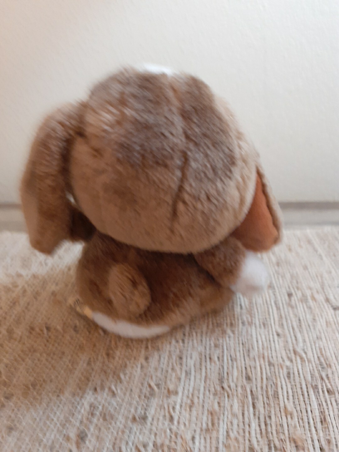 Bild 5 von 8