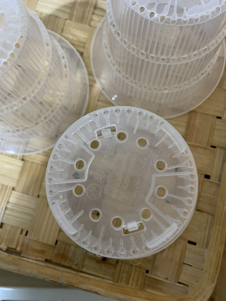 5X Clear Orchid Pots with Holes Breathable Plant Flower Pots () eBay