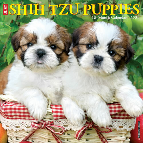 puppies for sale online with shipping
