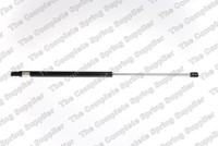 Heckklappen DäMpfer Gasfeder Kofferraum LesjÖFors 8163472 FüR G09 Opel Insignia