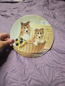 "Paws for a Picnic" COLLIE PUPS Collector Plate by LYNN KAATZ - 1993