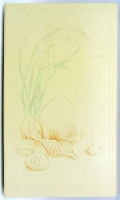 Vintage Hallmark 1982 Embossed Ivory Seashell Photo Album Holds 48 Pics 3.5 x 5”