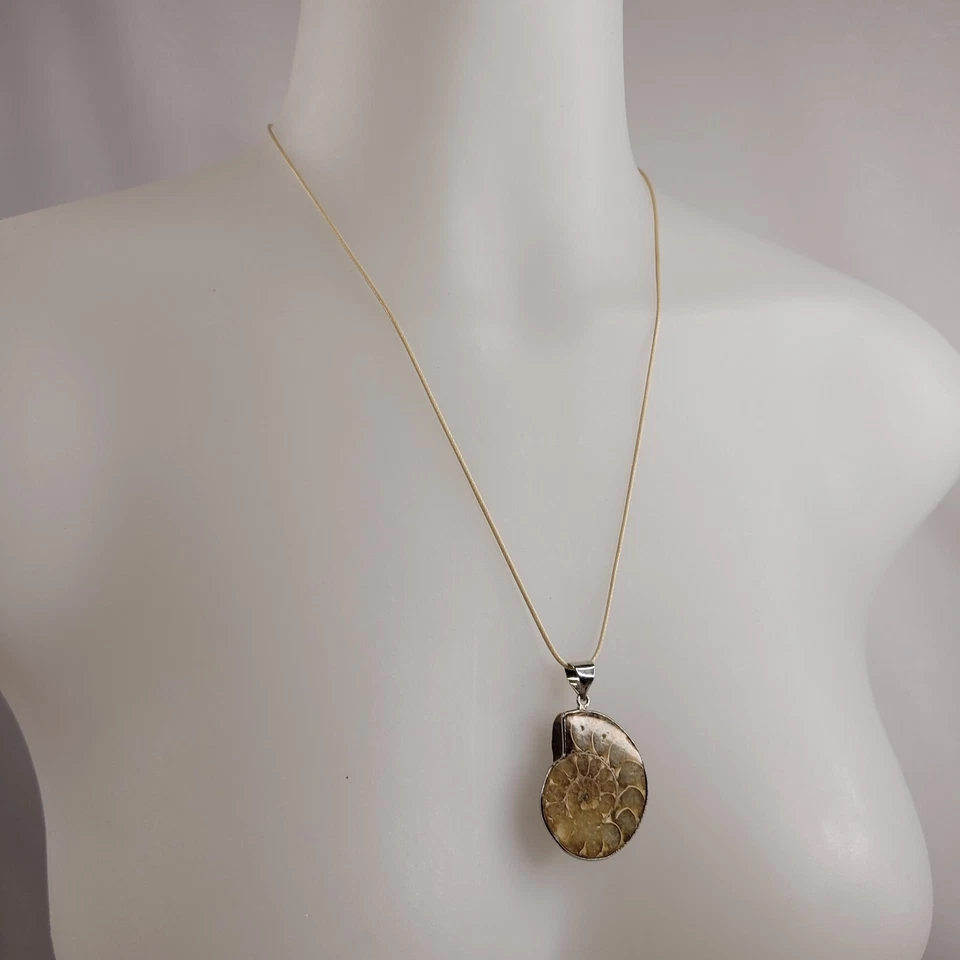 Colgante fósil concha de amonita en cordón tostado tono plata hallazgos playa Foto 2 de 4