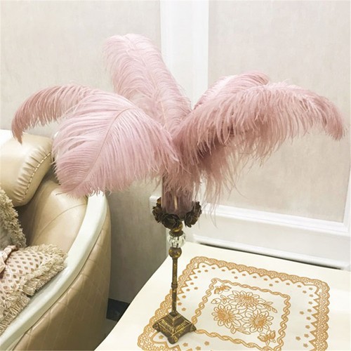 55-60cm Long Quality Ostrich Feathers Wedding Costume Craft Large Plume Ornament - Picture 10 of 17