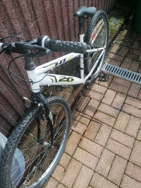 Avigo Fahrrder online kaufen | eBay.de