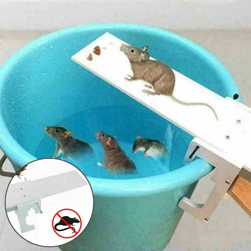 New Mouse Trap Catch Rat Trap Auto Catch Walk The Plank Humane Bucket Mice  Reset