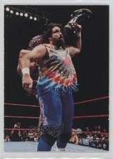 1998 Comic Images WWF Superstarz Dude Love #20 0w6