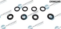 Dr.Motor Automotive Dichtring, DüSenhalter DRM029S FüR CitroËN