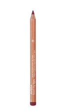 Aveda Feed My Lips Pure Nourish-Mint Lip Liner 01 RAISIN New in Box
