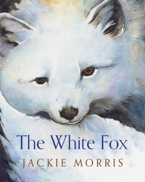 White Fox | Jackie Morris | Englisch | Taschenbuch | Kartoniert / Broschiert-image