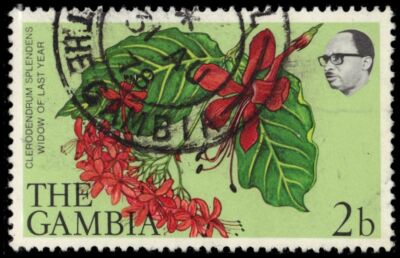 レーゲンスブルク　SP Kawasaki Ninja ZX-6R フルチタン製GP70-Rスリップオンサイレンサー