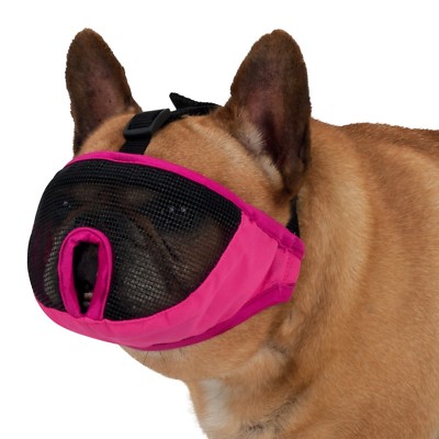 best muzzle for short snout dogs