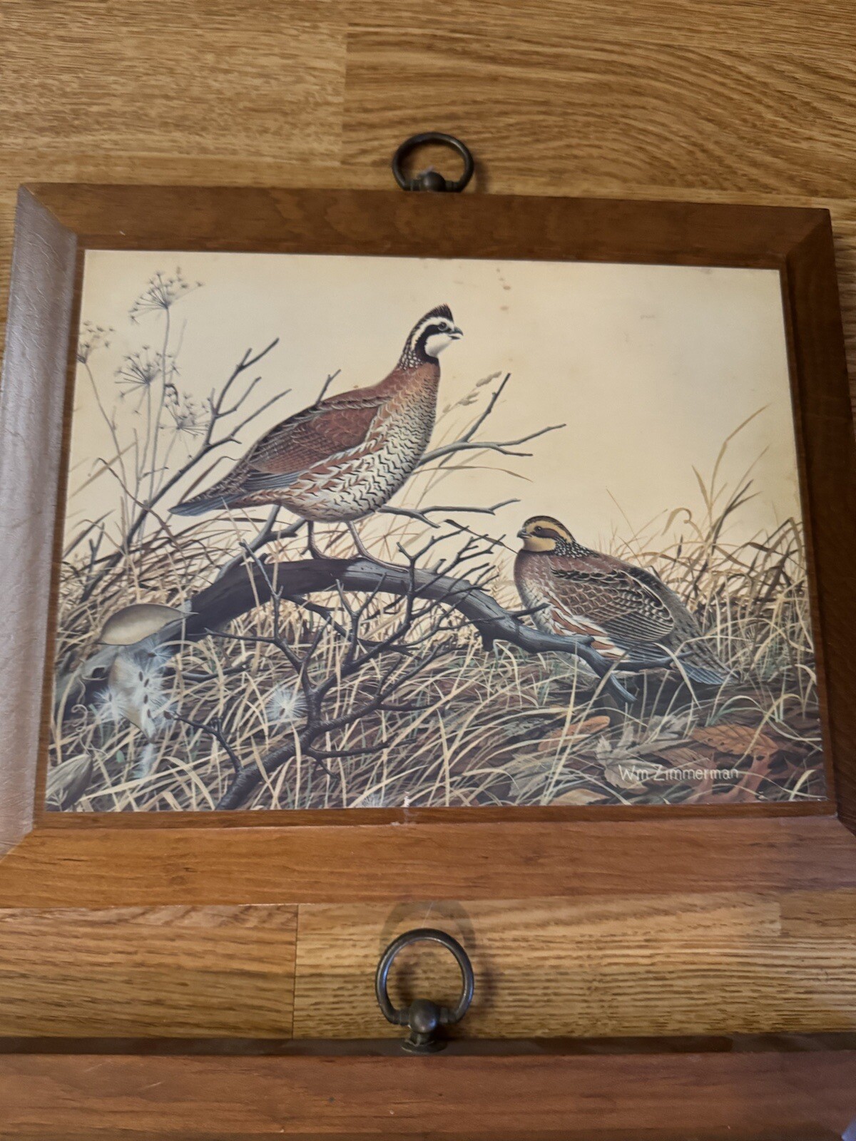 Picture 3 of 9