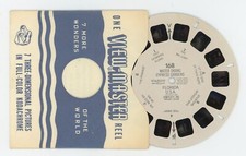 Water Skiing Cypress Gardens Florida 1949 Sawyer's View-Master Reel 168
