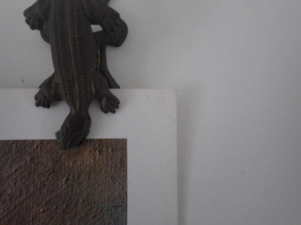 Picture 5 of 10