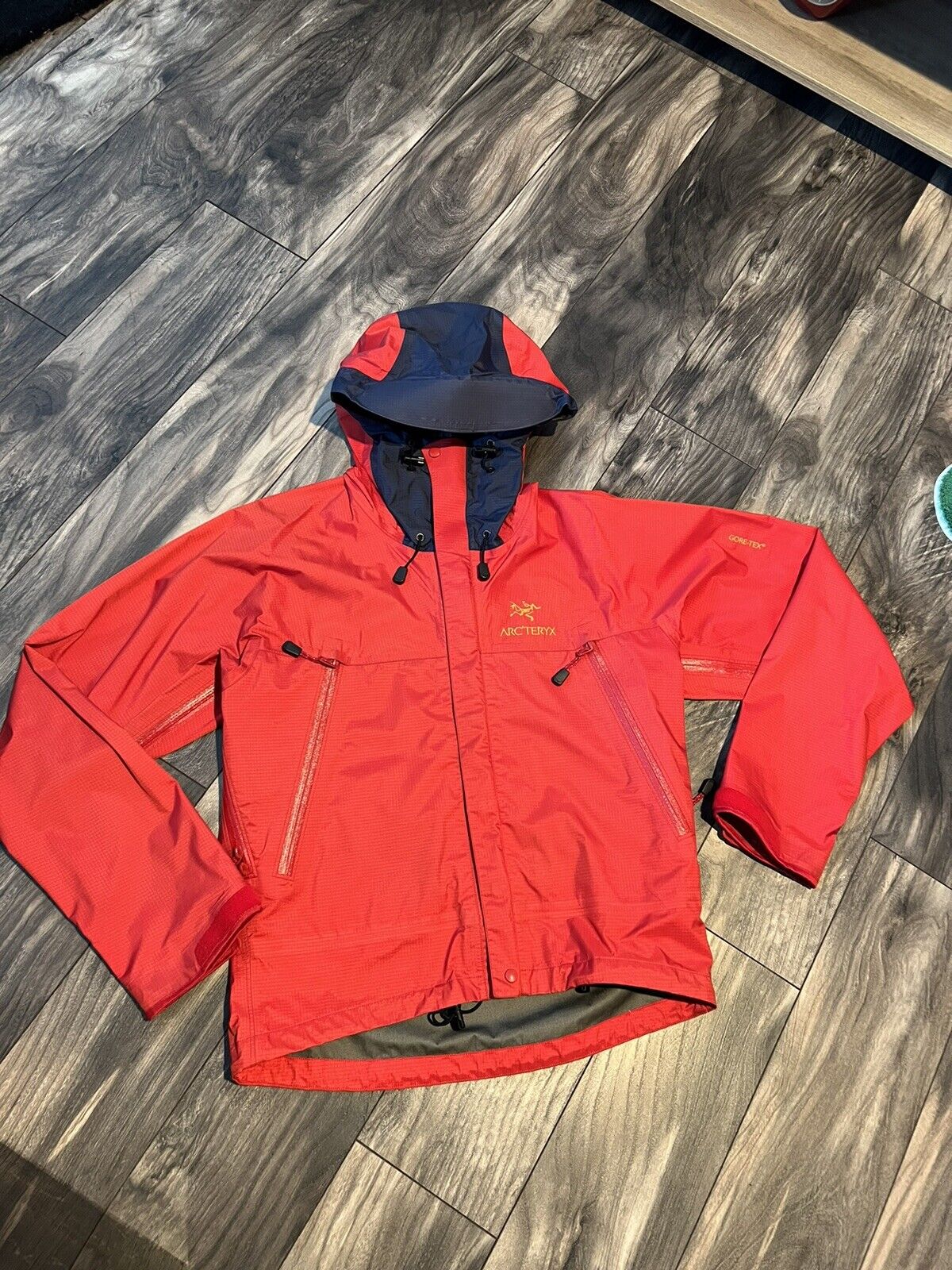 スペシャル】1998 Arc'teryx Beta LT jacket L - マウンテンパーカー